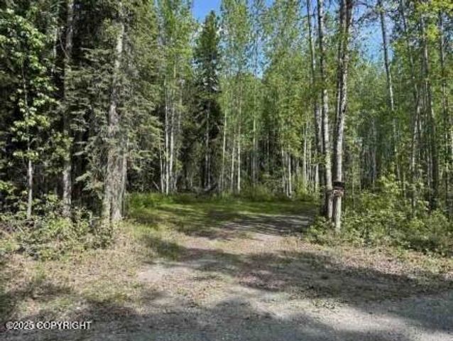 Mi 44.5 McCarthy Road, Chitina, AK 99588
