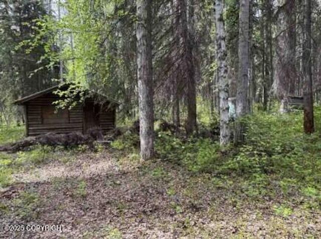 Mi 44.5 McCarthy Road, Chitina, AK 99588