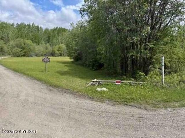 Mi 44.5 McCarthy Road, Chitina, AK 99588