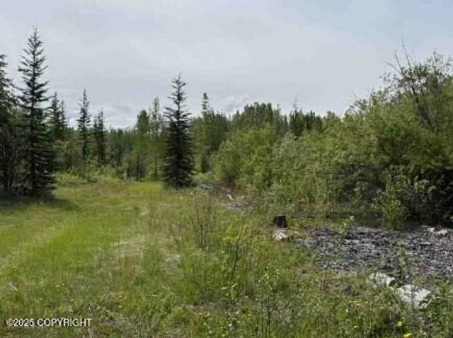 Mi 44.5 McCarthy Road, Chitina, AK 99588