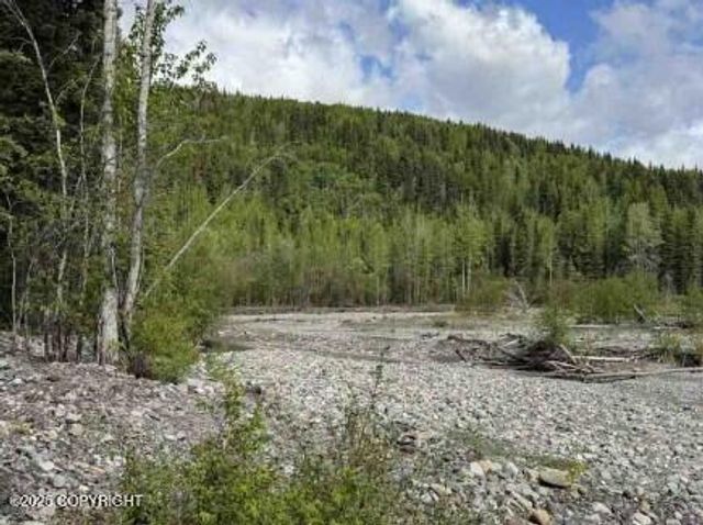 Mi 44.5 McCarthy Road, Chitina, AK 99588