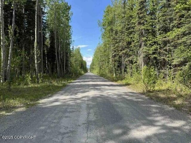 Mi 44.5 McCarthy Road, Chitina, AK 99588