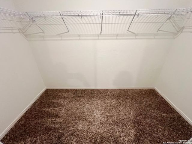 7834 Cactus Plum, San Antonio, TX 78254