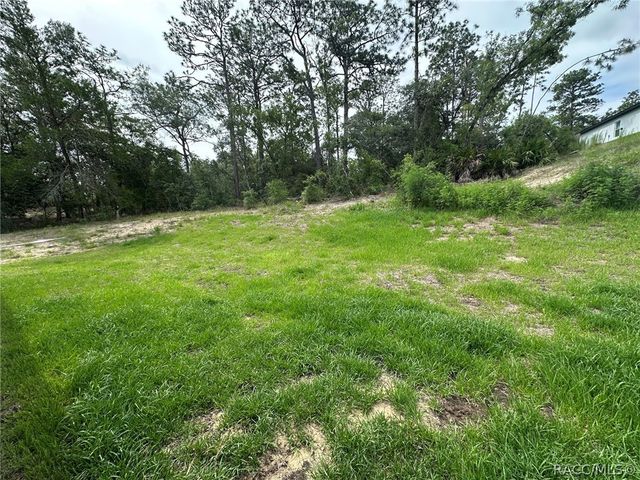 2810 W Huron Lane, Citrus Springs, FL 34434