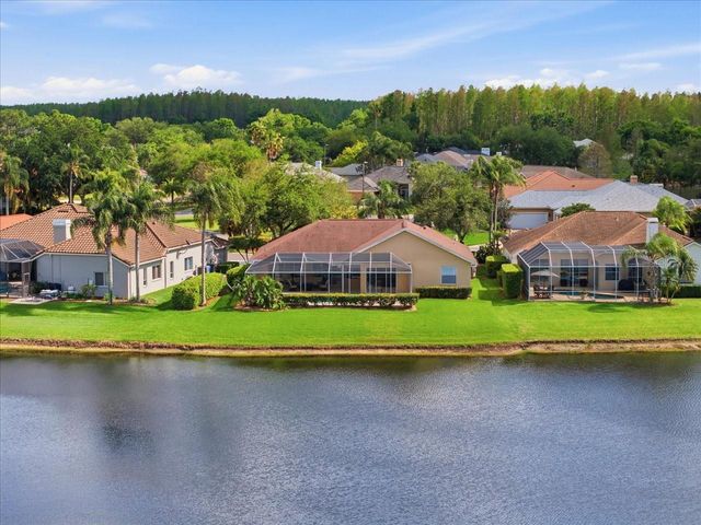 4317 BEAU RIVAGE CIRCLE, Lutz, FL 33558