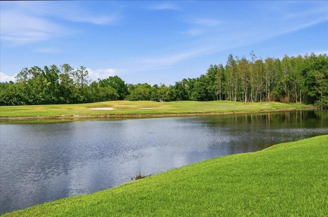 4317 BEAU RIVAGE CIRCLE, Lutz, FL 33558