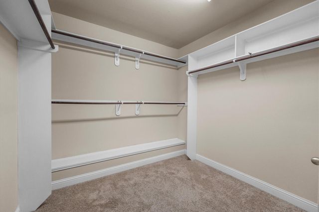 2635 Forest Cove Court, Conroe, TX 77385