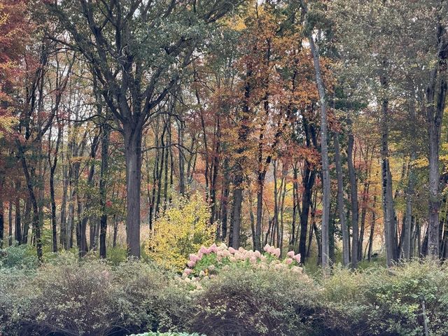 204 Virginia Rd, Concord, MA 01742