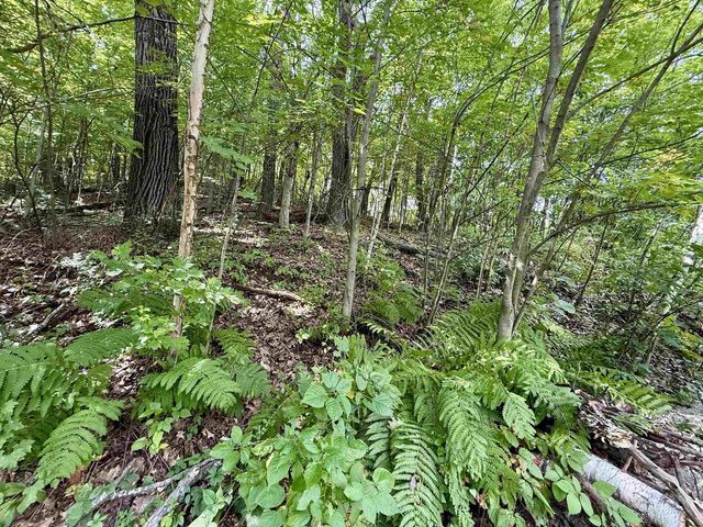 18380 Iowa Road, Tomah, WI 54660