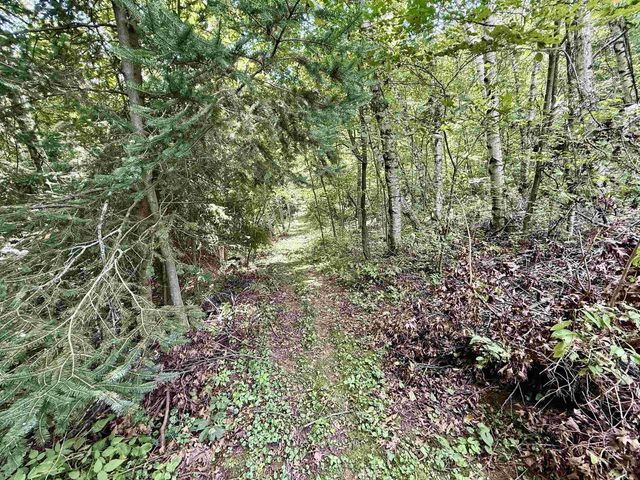 18380 Iowa Road, Tomah, WI 54660