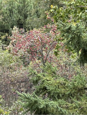 18380 Iowa Road, Tomah, WI 54660