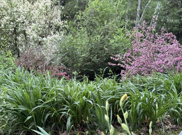 18380 Iowa Road, Tomah, WI 54660