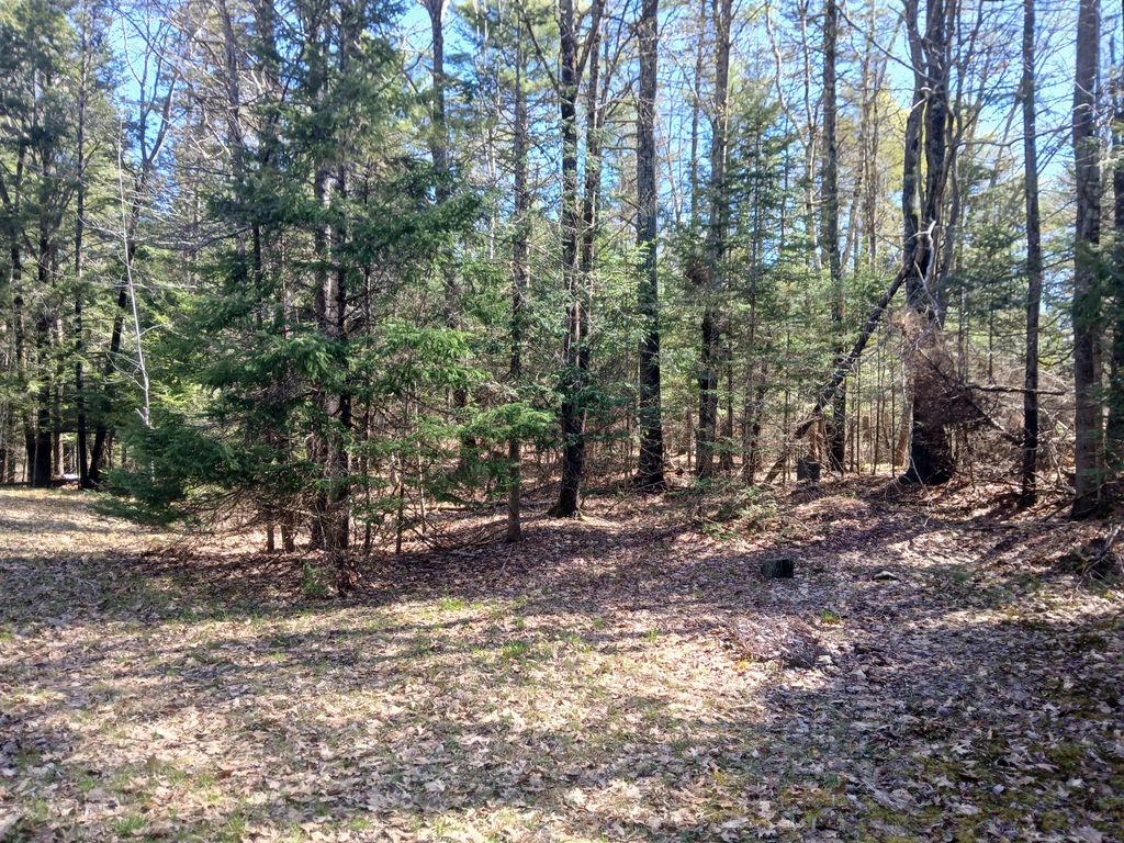 371 Carding Machine Road, Bowdoinham, ME 04008 — photo 2