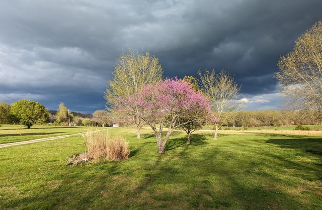 14620 Cainsville Rd, Lebanon, TN 37090