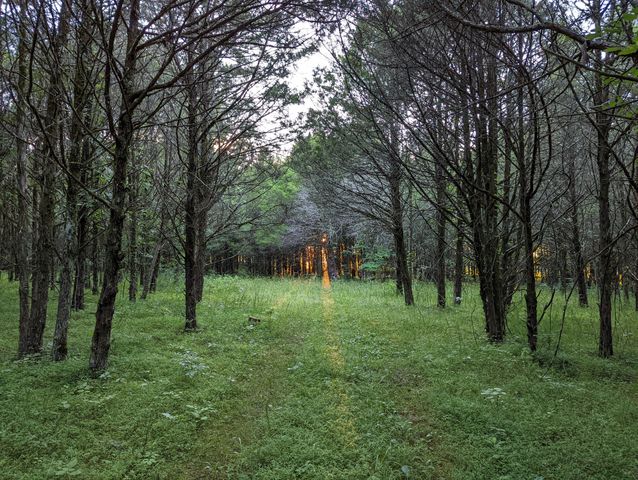 14620 Cainsville Rd, Lebanon, TN 37090