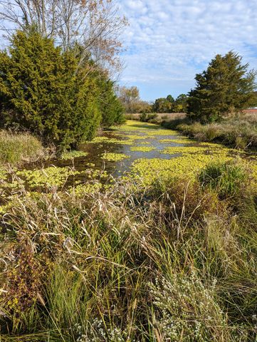 14620 Cainsville Rd, Lebanon, TN 37090