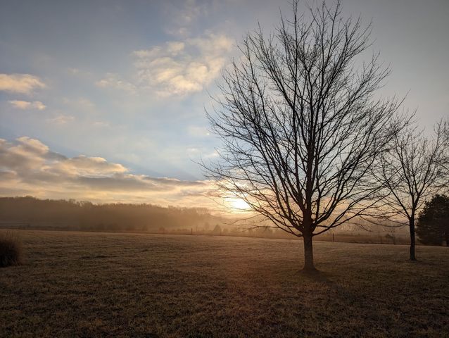 14620 Cainsville Rd, Lebanon, TN 37090