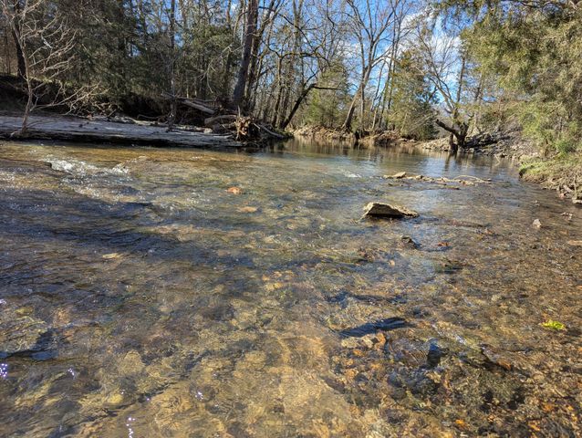 14620 Cainsville Rd, Lebanon, TN 37090