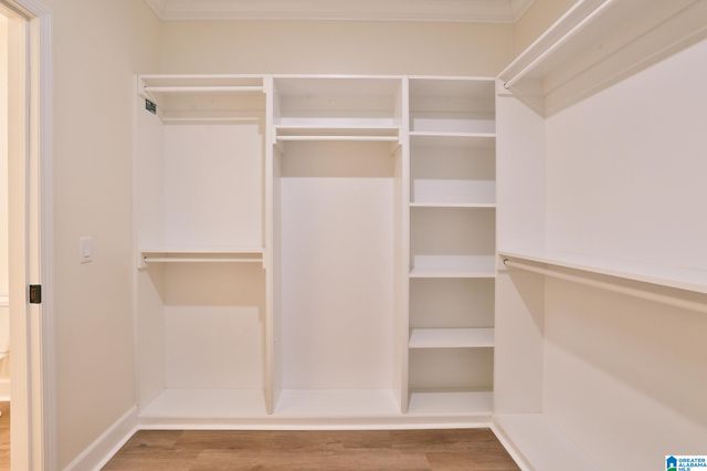 175 CLEAR SPRINGS DRIVE, Lincoln, AL 35096