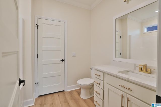 175 CLEAR SPRINGS DRIVE, Lincoln, AL 35096