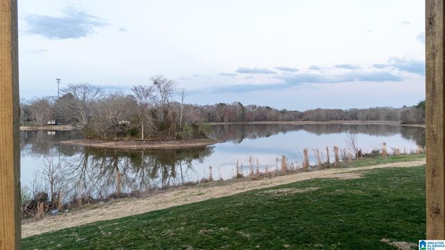 175 CLEAR SPRINGS DRIVE, Lincoln, AL 35096