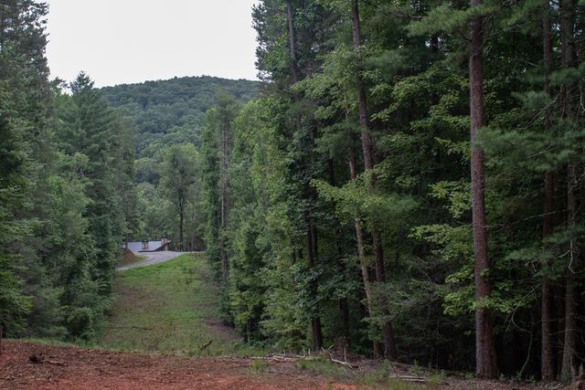 Lot 1 Clay's Way, Blue Ridge, GA 30513