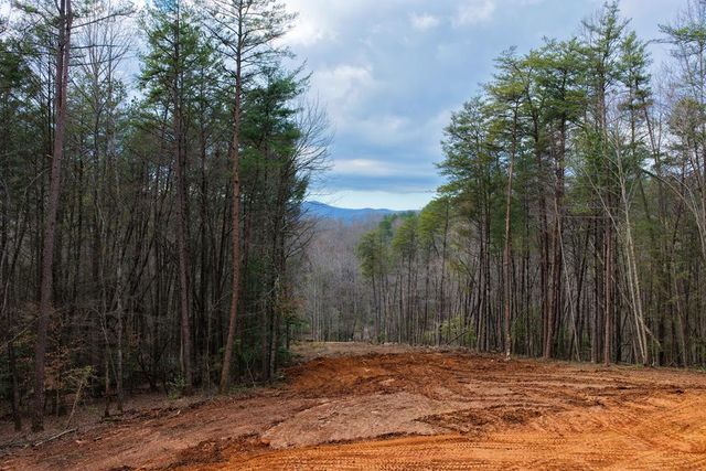Lot 1 Clay's Way, Blue Ridge, GA 30513
