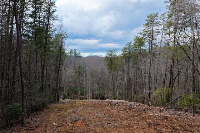 Lot 1 Clay's Way, Blue Ridge, GA 30513