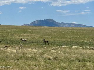 TBA E Lot 40-A1 off of E Norma -- 40-A1, Prescott Valley, AZ 86315