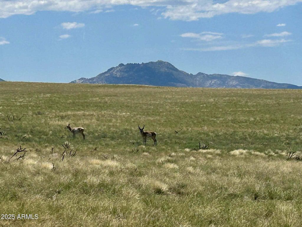 TBA E Lot 40-A1 off of E Norma -- 40-A1, Prescott Valley, AZ 86315