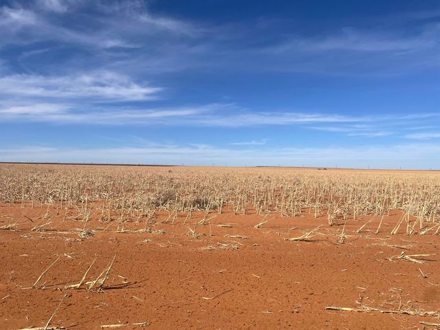 Farm-To-Market Road Road 303, Brownfield, TX 79316