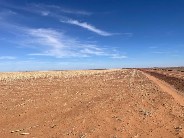Farm-To-Market Road Road 303, Brownfield, TX 79316