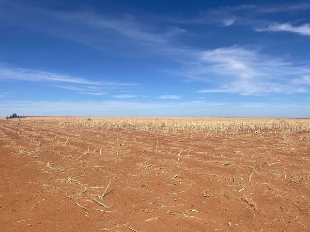 Farm-To-Market Road Road 303, Brownfield, TX 79316