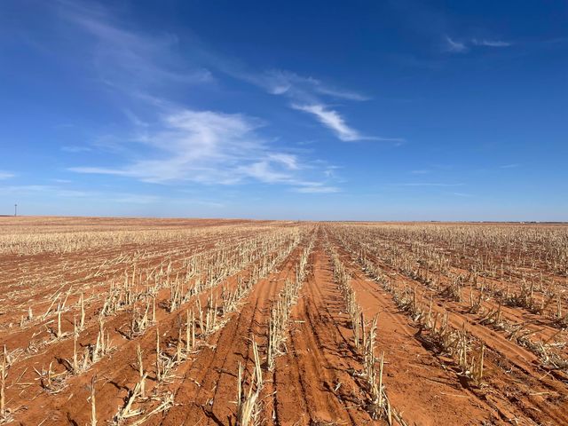 Farm-To-Market Road Road 303, Brownfield, TX 79316