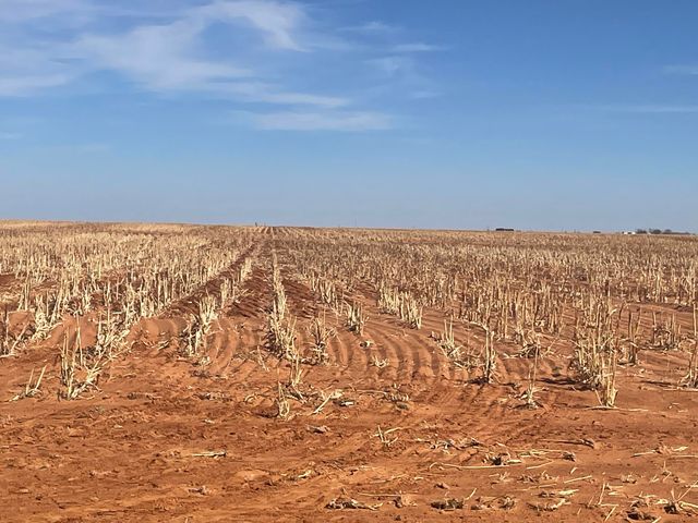 Farm-To-Market Road Road 303, Brownfield, TX 79316