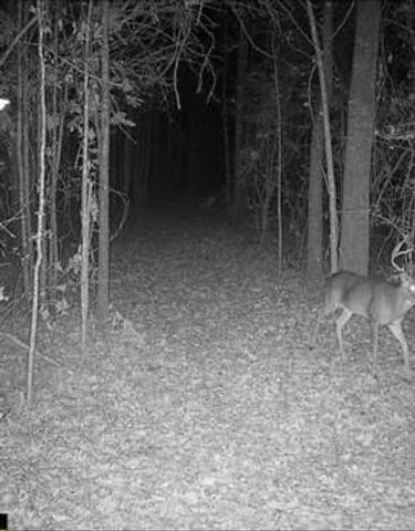 15-34-23 Sandstone Lane, Huntsville, TX 77340