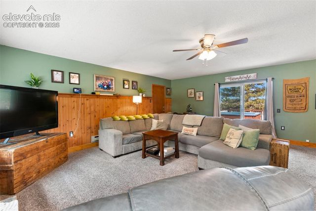 1010 W Bowman Avenue, Woodland Park, CO 80863