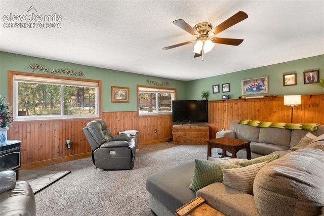 1010 W Bowman Avenue, Woodland Park, CO 80863