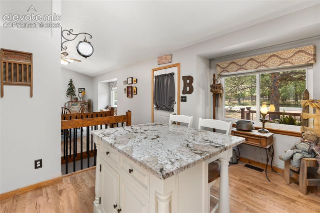 1010 W Bowman Avenue, Woodland Park, CO 80863