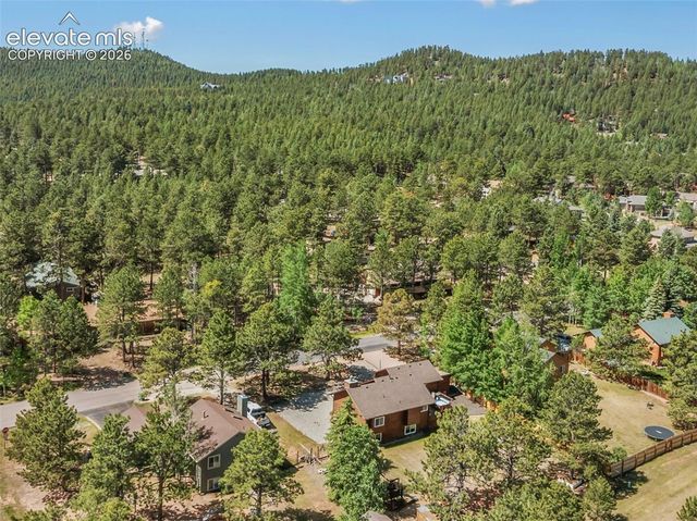 1010 W Bowman Avenue, Woodland Park, CO 80863