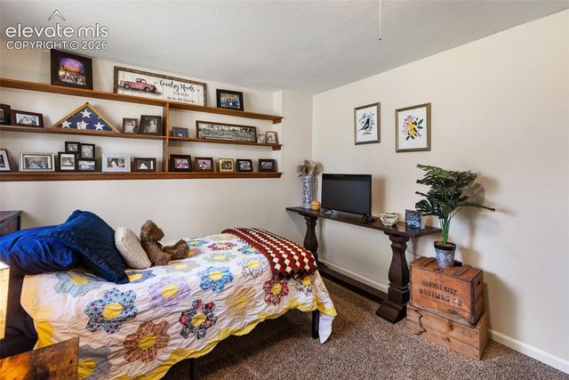 1010 W Bowman Avenue, Woodland Park, CO 80863