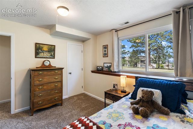 1010 W Bowman Avenue, Woodland Park, CO 80863