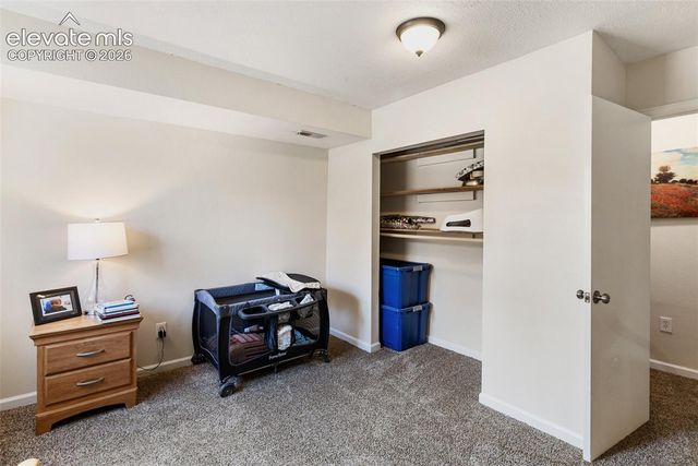 1010 W Bowman Avenue, Woodland Park, CO 80863