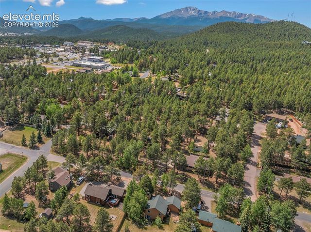 1010 W Bowman Avenue, Woodland Park, CO 80863