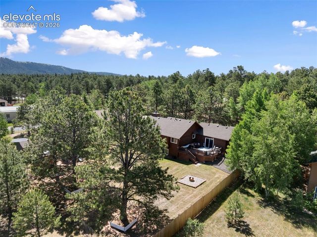 1010 W Bowman Avenue, Woodland Park, CO 80863