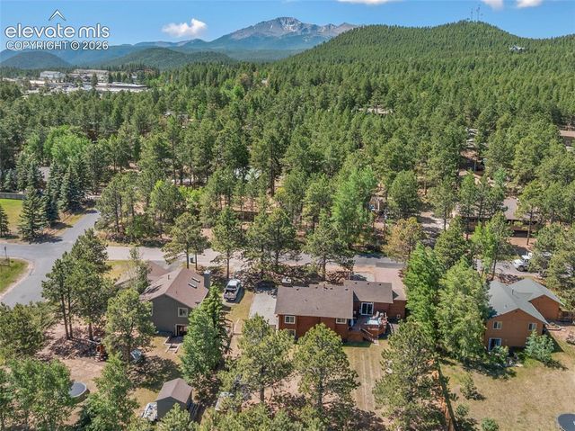 1010 W Bowman Avenue, Woodland Park, CO 80863