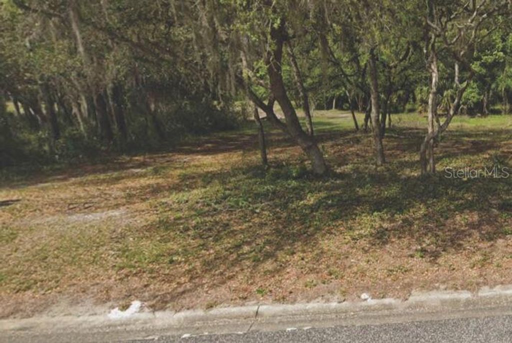 208 OAK RIDGE DRIVE, Welaka, FL 32193