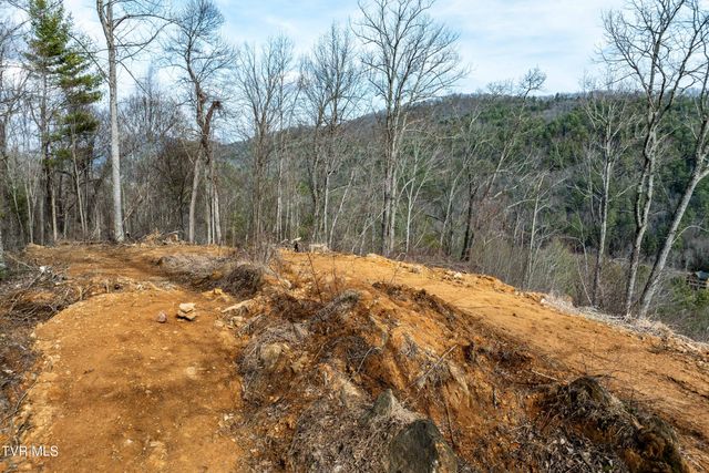 Tbd Mountain Wynd Drive, Butler, TN 37640