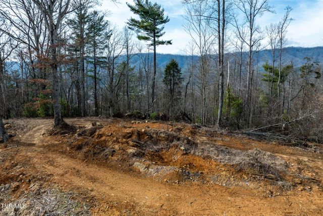 Tbd Mountain Wynd Drive, Butler, TN 37640