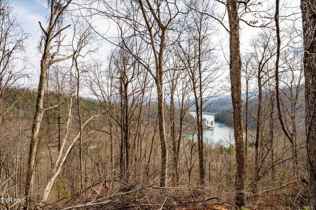 Tbd Mountain Wynd Drive, Butler, TN 37640